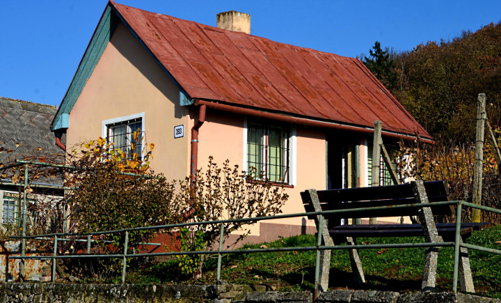 Záhradný domček s vinohradom