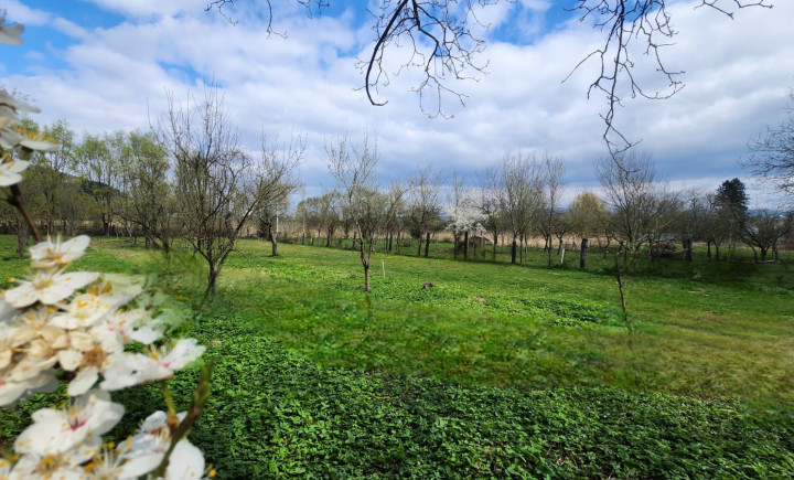 Nádherný STAVEBNÝ pozemok v centre obce Drienovská Nová Ves