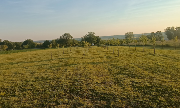 EXKLUZÍVNE na predaj luxusný pozemok 3802 m2 30 m široký v Čechynciach na rekreačné účely alebo trvalé bývanie