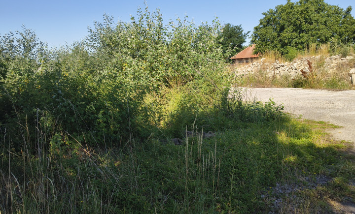 Investičná príležitosť v obci Čechynce – pozemok s potenciálom pre IBV