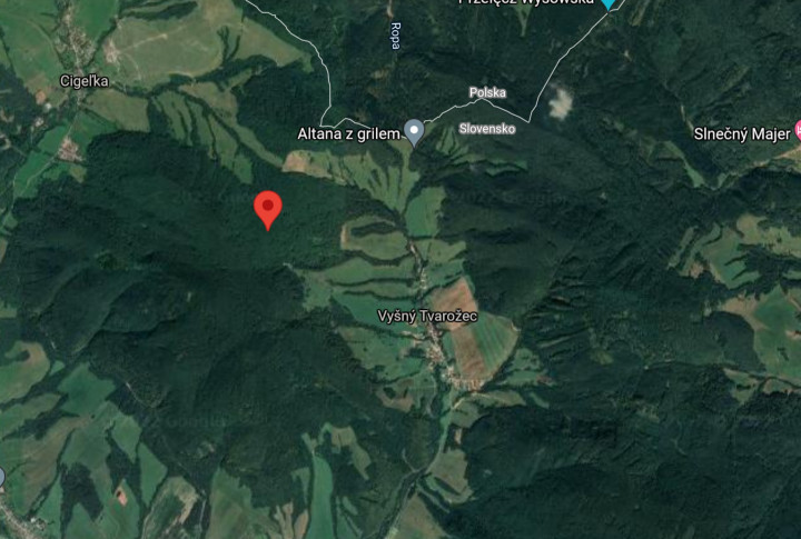Na predaj lesný pozemok v kat. území - Vyšný Tvarožec, okres Bardejov