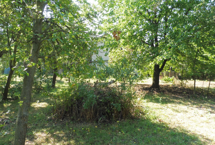 Rodinný dom, 8 árový pozemok, Rozhanovce, Košice - okolie
