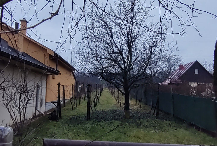 Na predaj pozemok na výstavbu viničného domu alebo na bývanie