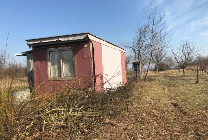 Na predaj vinohrad Branč s 18 árovým pozemkom
