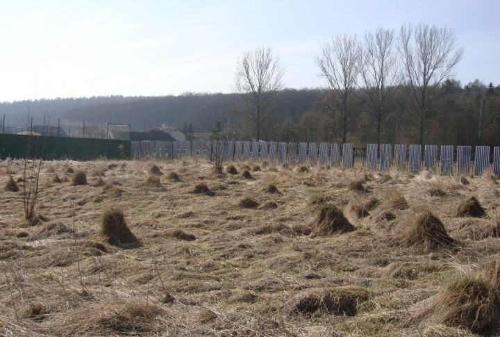 NA PREDAJ INVESTIČNÝ POZEMOK V OBCI PAŇOVCE | 6161m²