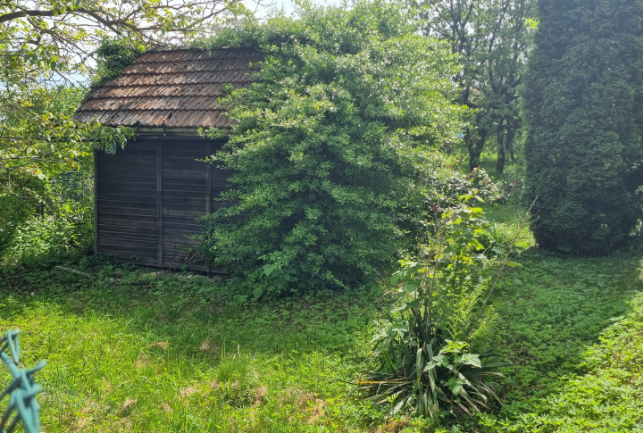 PREDANÉ - Na predaj záhrada