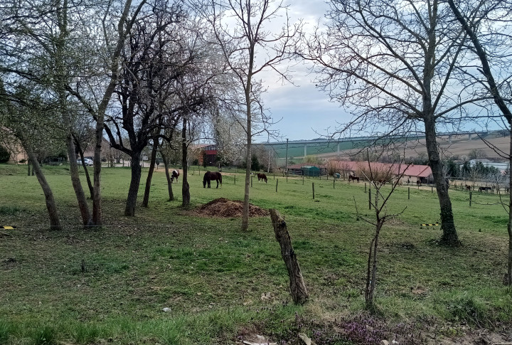 top cena!Na predaj stavebný pozemok v malebnej obci Hosťová