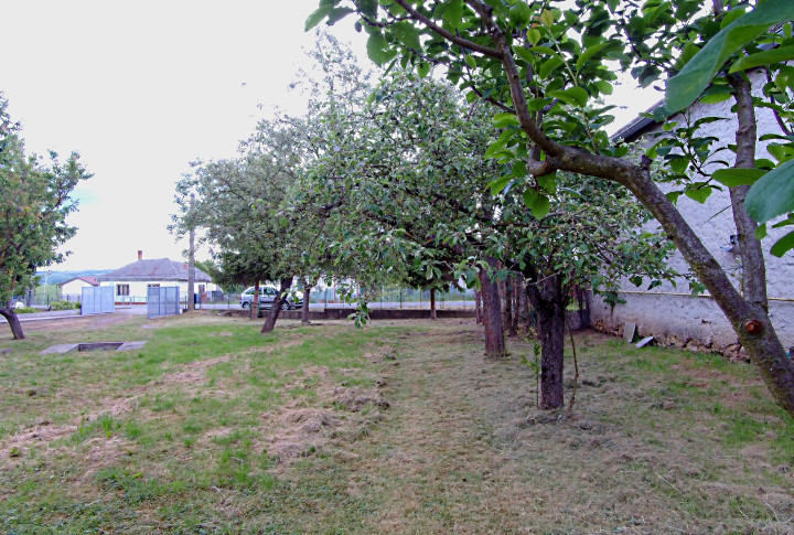 Slnečný a rovinatý pozemok v pokojnej obci Kašov