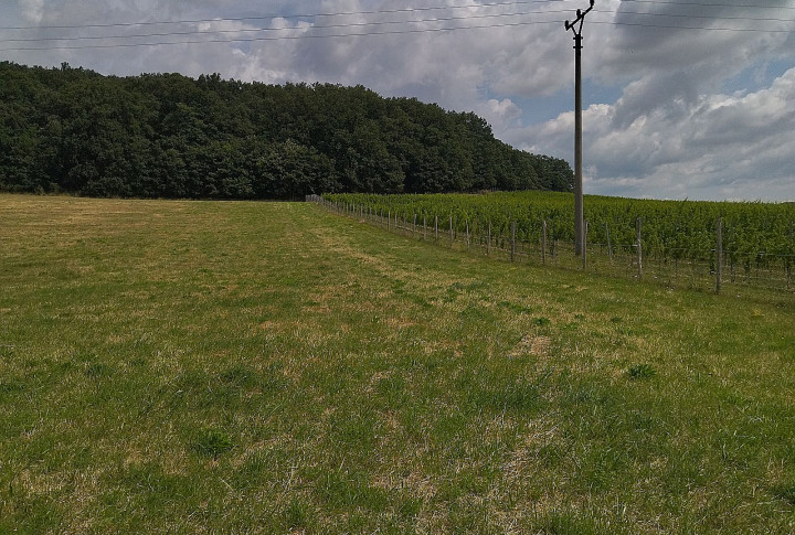 Na predaj budúci stavebný pozemok, pri Trnave, Lošonec