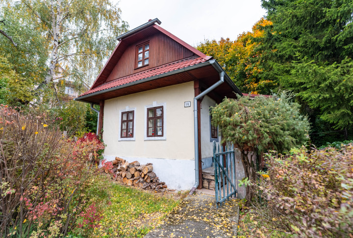 NA PREDAJ 200 ROČNÝ RODINNÝ DOM V MESTE VRANOV NAD TOPĽOU