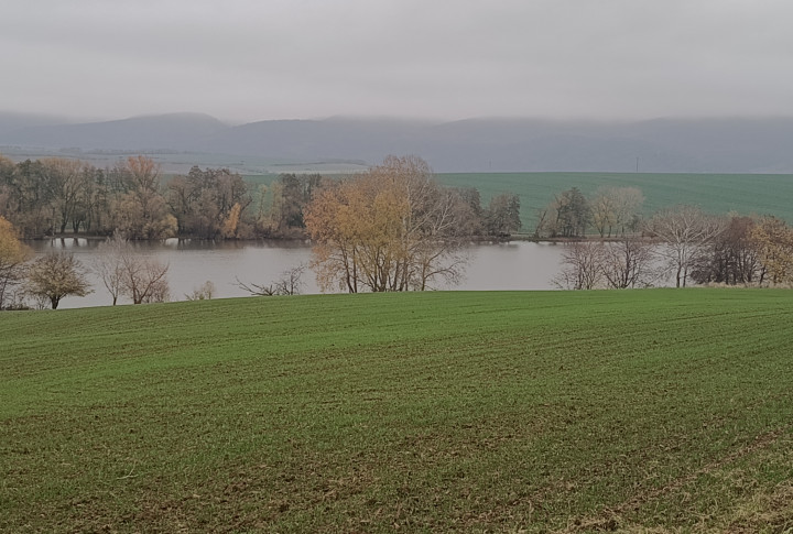 Na predaj pozemok na výstavbu aj dvoch viničných chatiek v obci Kozárovce
