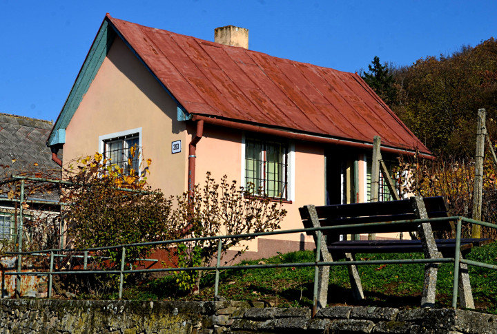 Záhradný domček s vinohradom