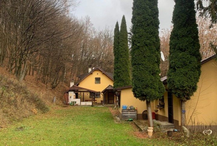 Na predaj ,Krásna murovaná chata ,Ružín