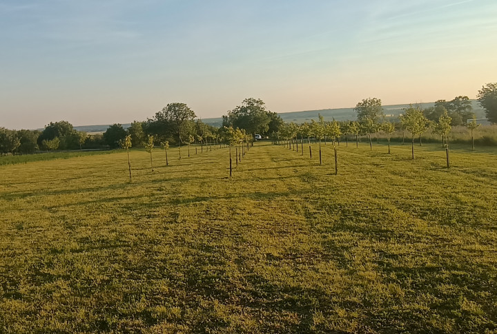 EXKLUZÍVNE na predaj luxusný pozemok 3802 m2 30 m široký v Čechynciach na rekreačné účely alebo trvalé bývanie