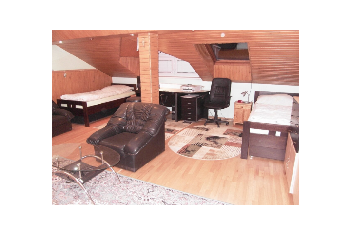 Na prenájom 4 izbový podkrovný nadštandartný byt, Dechtice.