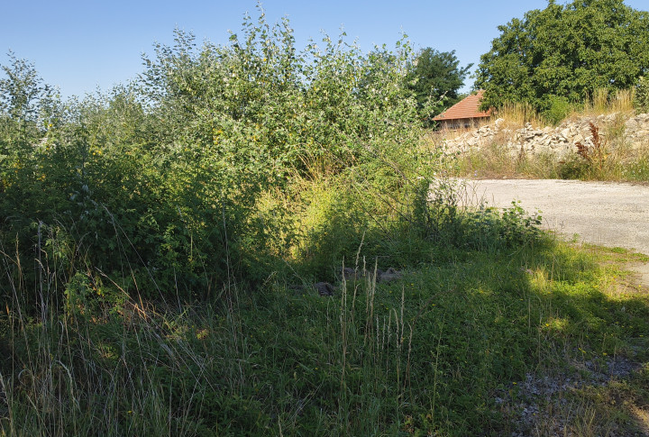 Investičná príležitosť v obci Čechynce – pozemok s potenciálom pre IBV